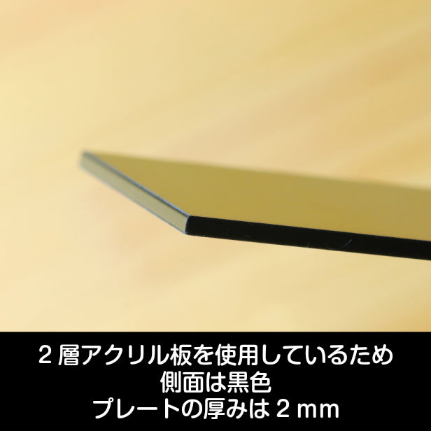 二世帯表札 猫 ステンレス調 180×40 L 真鍮風 ゴールド マンション ポスト 戸建 表札 二世帯 同居 二世帯住宅 ねこ ネコ ネームプレート おしゃれでシンプルなデザイン 金 看板 門柱や外壁にも最適 アクリル製 レーザー彫刻 長方形 屋外対応 シール式 (配送2)