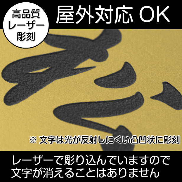 二世帯表札 猫 ステンレス調 120×120 S 真鍮風 ゴールド マンション ポスト 戸建 表札 二世帯 同居 二世帯住宅 二世帯同居 ネームプレート おしゃれでシンプルなデザイン 金 看板 門柱や外壁にも最適 アクリル製 レーザー彫刻 正方形 屋外対応 シール式 (配送2)