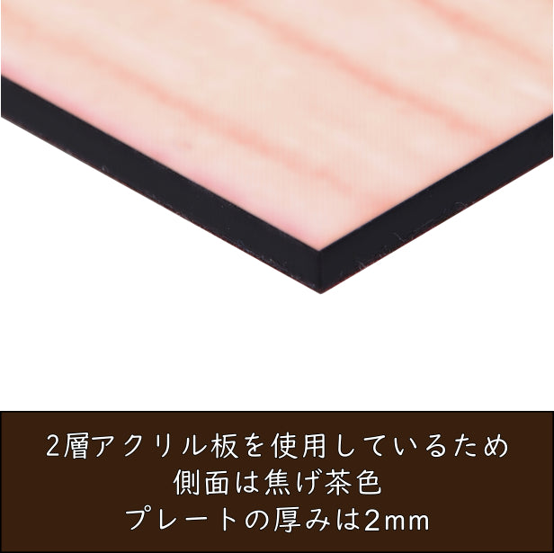 表札 猫 木目調 正方形 120×120 S ウッド調 フェイク マンション ポスト 戸建 ねこ ネコ 名前 引越し ネームプレート デザイン 室名札 シール式 プレート ドアプレート ルームプレート おしゃれ ひょうさつ 看板 外壁 門柱 アクリル製 レーザー彫刻 (配送2)