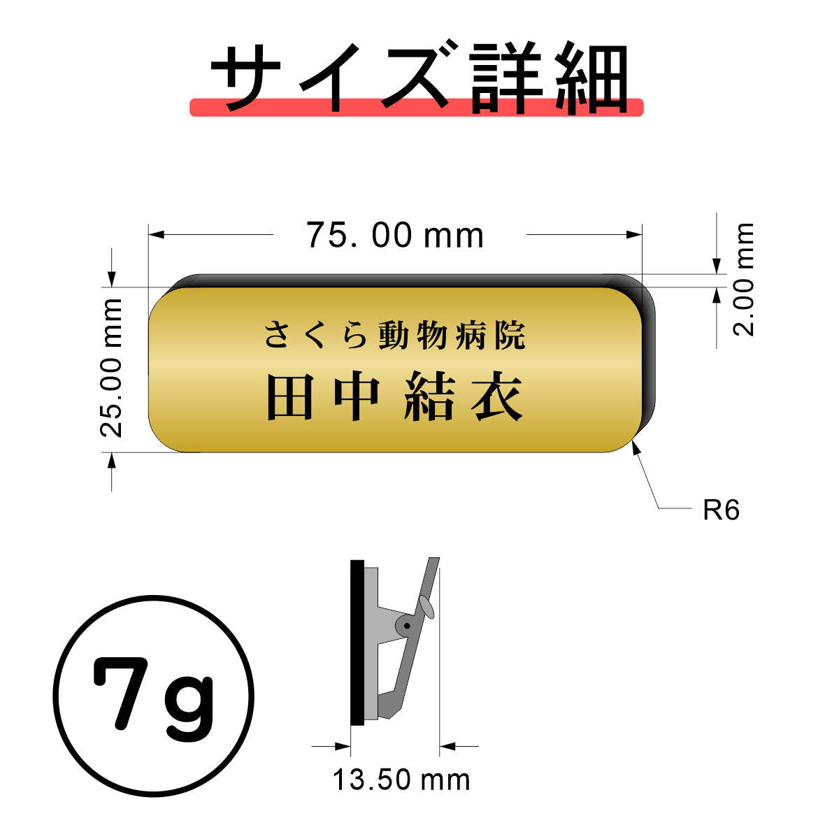 名札 ネームプレート ピン クリップ 真鍮風 ゴールド 角が丸くておしゃれ 名入れ 文字刻印無料 オーダー 会社 学校 病院 薬局 クリニック 美容室 ネイルサロン ブライダル 飲食店 カフェ お店 事務 イベント 白衣 金 アクリル製 (配送1)