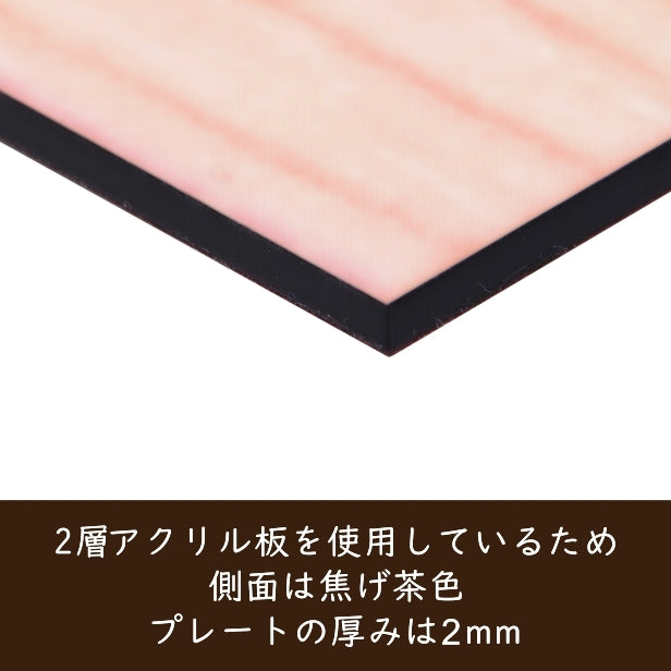 表札 おしゃれ 木目調 120×30 S デザイナーズ 桜 さくら 和風 ウッド調 フェイク マンション ポスト 門柱 ネームプレート ドアプレート プレート シール式 デザイン 模様 柄 sakura 看板 玄関 名入れ オーダー 長方形 アクリル製 レーザー彫刻 日本製 (配送2)