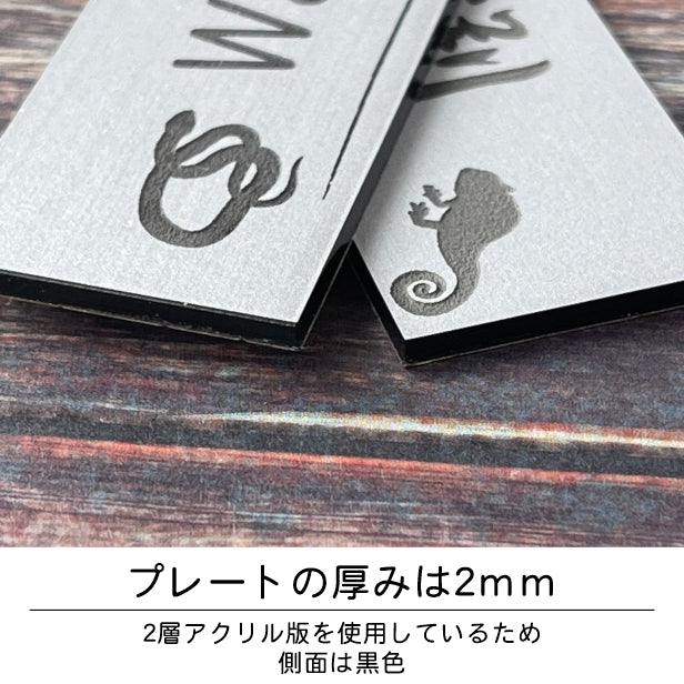 表札 ネームプレート 爬虫類 両生類 ステンレス調 シルバー 120×30 S カエルやヘビ トカゲ ヤモリ やイグアナ 亀やカメレオン イグアナやウーパールーパーのシルエットがユニーク 戸建 マンションの表札として門柱やポストに シール式 取付け簡単 アクリル製 屋外対応 (配送2)
