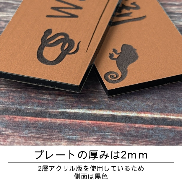 表札 ネームプレート 爬虫類 両生類 銅板風 ブロンズ 150×35 M カエルやヘビ トカゲ ヤモリ やイグアナ 亀やカメレオン イグアナやウーパールーパーのシルエットがユニーク 戸建 マンションの表札として門柱やポストに シール式 取付け簡単 アクリル製 屋外対応 (配送2)