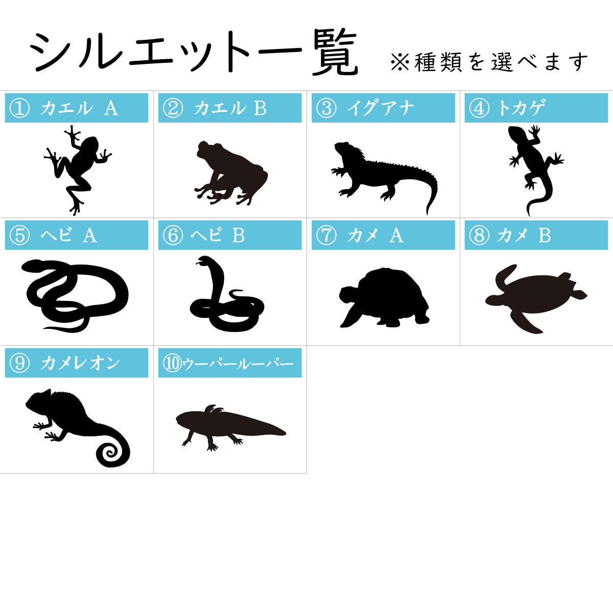 表札 ネームプレート 爬虫類 両生類 銅板風 ブロンズ 150×35 M カエルやヘビ トカゲ ヤモリ やイグアナ 亀やカメレオン イグアナやウーパールーパーのシルエットがユニーク 戸建 マンションの表札として門柱やポストに シール式 取付け簡単 アクリル製 屋外対応 (配送2)