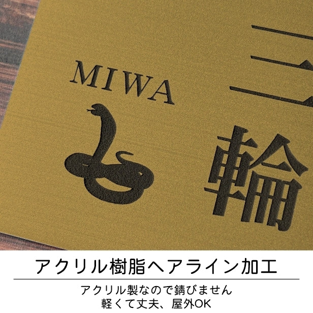 表札 ネームプレート 爬虫類 両生類 真鍮風 ゴールド 120×120 S カエルやヘビ トカゲ ヤモリ やイグアナ 亀やカメレオン イグアナやウーパールーパーのシルエットがユニーク 戸建 マンションの表札として門柱やポストに シール式 取付け簡単 アクリル製 屋外対応 金 (配送2)