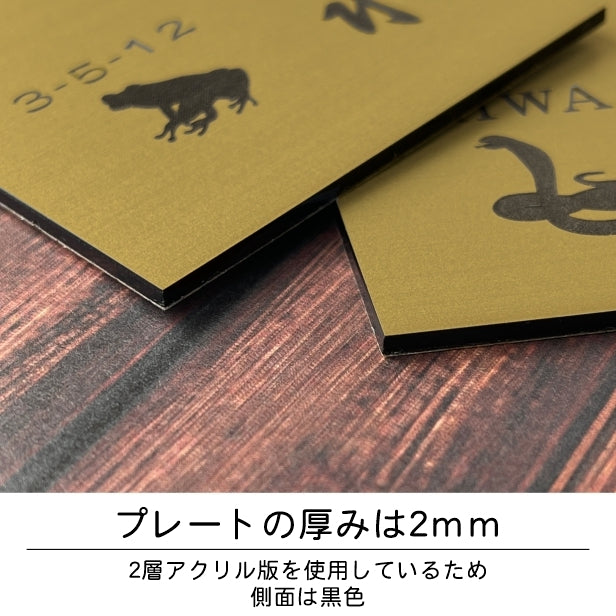 表札 ネームプレート 爬虫類 両生類 真鍮風 ゴールド 120×120 S カエルやヘビ トカゲ ヤモリ やイグアナ 亀やカメレオン イグアナやウーパールーパーのシルエットがユニーク 戸建 マンションの表札として門柱やポストに シール式 取付け簡単 アクリル製 屋外対応 金 (配送2)