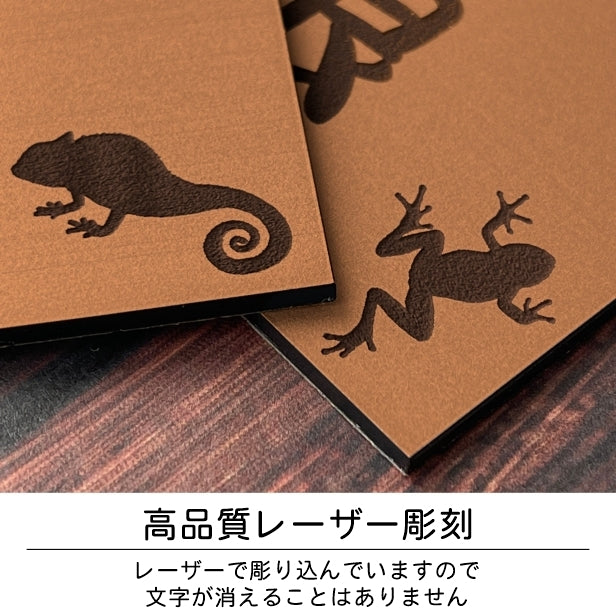 表札 ネームプレート 爬虫類 両生類 銅板風 ブロンズ 120×120 S カエルやヘビ トカゲ ヤモリ やイグアナ 亀やカメレオン イグアナやウーパールーパーのシルエットがユニーク 戸建 マンションの表札として門柱やポストに シール式 取付け簡単 アクリル製 屋外対応 (配送2)