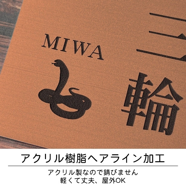 表札 ネームプレート 爬虫類 両生類 銅板風 ブロンズ 120×120 S カエルやヘビ トカゲ ヤモリ やイグアナ 亀やカメレオン イグアナやウーパールーパーのシルエットがユニーク 戸建 マンションの表札として門柱やポストに シール式 取付け簡単 アクリル製 屋外対応 (配送2)