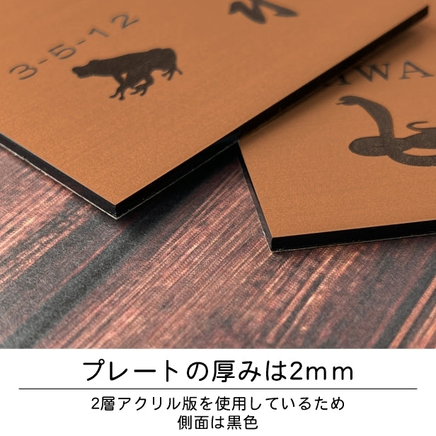 表札 ネームプレート 爬虫類 両生類 銅板風 ブロンズ 120×120 S カエルやヘビ トカゲ ヤモリ やイグアナ 亀やカメレオン イグアナやウーパールーパーのシルエットがユニーク 戸建 マンションの表札として門柱やポストに シール式 取付け簡単 アクリル製 屋外対応 (配送2)