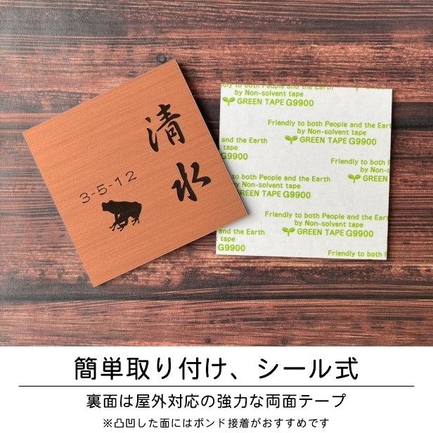 表札 ネームプレート 爬虫類 両生類 銅板風 ブロンズ 120×120 S カエルやヘビ トカゲ ヤモリ やイグアナ 亀やカメレオン イグアナやウーパールーパーのシルエットがユニーク 戸建 マンションの表札として門柱やポストに シール式 取付け簡単 アクリル製 屋外対応 (配送2)