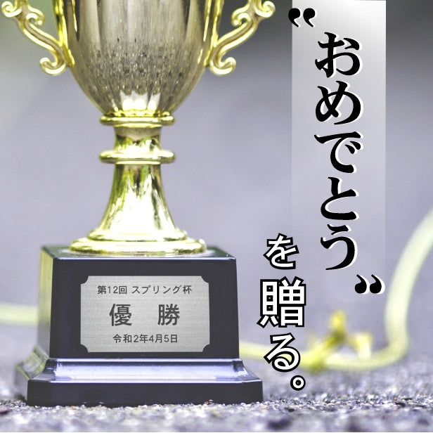 優勝・記念品プレート ステンレス調 シルバー 50×30mm 大会 コンテスト イベント ホールインワン賞 社員表彰 様々な記念品に貼れる おしゃれ トロフィー 記念写真 楯などにオススメ 文字は消えない彫刻 錆びずにいつまでもキレイなアクリル製 シール式 銀 (配送2)