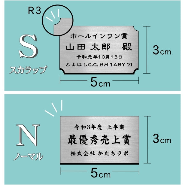 優勝・記念品プレート ステンレス調 シルバー 50×30mm 大会 コンテスト イベント ホールインワン賞 社員表彰 様々な記念品に貼れる おしゃれ トロフィー 記念写真 楯などにオススメ 文字は消えない彫刻 錆びずにいつまでもキレイなアクリル製 シール式 銀 (配送2)