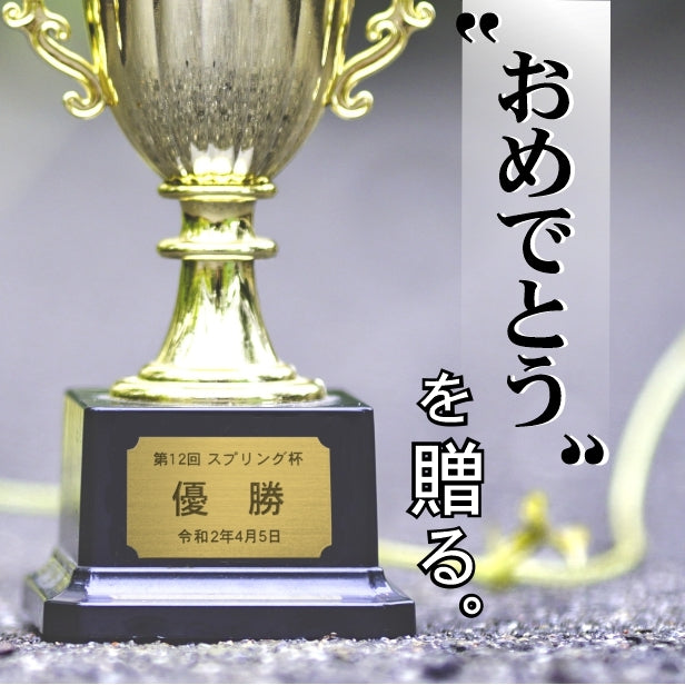 優勝プレート 記念品プレート ネームプレート【名入れ刻印無料】真鍮風 ゴールド 50×30mm スポーツ 大会 コンテスト イベント ゴルフ コンペ ホールインワン 表彰 軽くて丈夫 貼る シール式 金 (配送2)