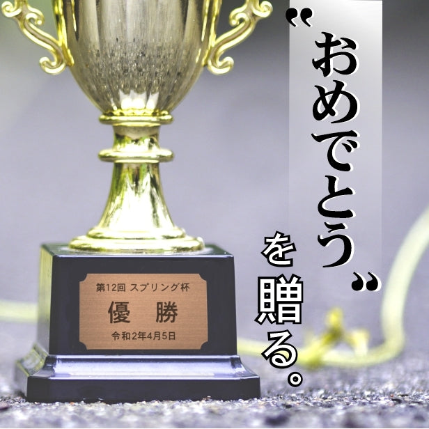 優勝・記念品プレート 銅板風 ブロンズ 50×30mm 大会 コンテスト イベント ホールインワン賞 社員表彰 様々な記念品に貼れる おしゃれ トロフィー 記念写真 楯などにオススメ 文字は消えない彫刻 錆びずにいつまでもキレイなアクリル製 シール式 銅 (配送2)