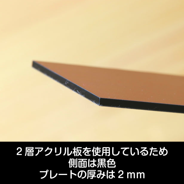 表札 猫 ステンレス調 150×35 M 銅板風 ブロンズ マンション ポスト 戸建 ねこ ネコ 名前 デザイン 室名札 シール式 プレート ドアプレート ルームプレート おしゃれ ひょうさつ 看板 外壁 門柱 アクリル製 銅 レーザー彫刻 長方形 (配送2)