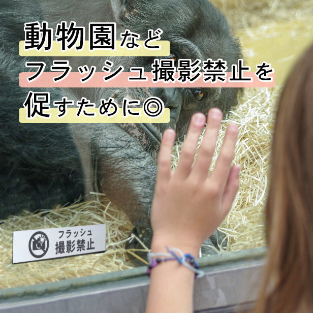フラッシュ撮影禁止 サインプレート ステンレス調 シルバー おしゃれ 禁止案内 カメラ撮影 フラッシュ 注意書き 美術館 展覧会 案内表示 軽くて丈夫 アクリル製 銀色 屋外対応 水濡れOK 日本製 シール式 (配送2)