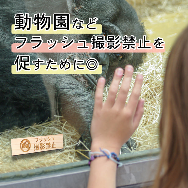 フラッシュ撮影禁止 木製サインプレート ナチュラル 国産ヒノキ スマホ 写真撮影 禁止案内 カメラ撮影 フラッシュ 注意書き 美術館 展覧会 案内表示 天然木 水濡れOK あいち認証材 日本製 シール式 (配送2)