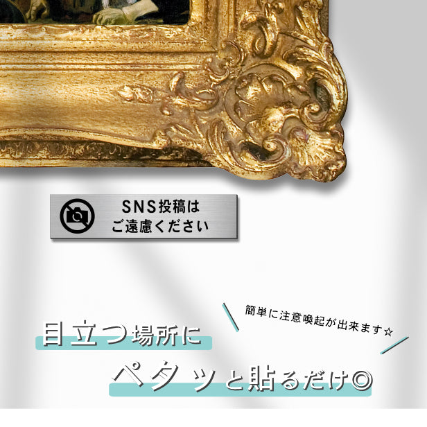 サインプレート (SNS投稿はご遠慮ください) シルバー ステンレス調 ステッカー プレート おしゃれ インスタ 案内 注意書き 標識 ドア 表示 会社 オフィス 病院 お店 施設 共用スペース 案内表示 写真 写メ 文字が消えない彫刻式 銀 アクリル製 日本製 屋外対応 シール式 (配送2)