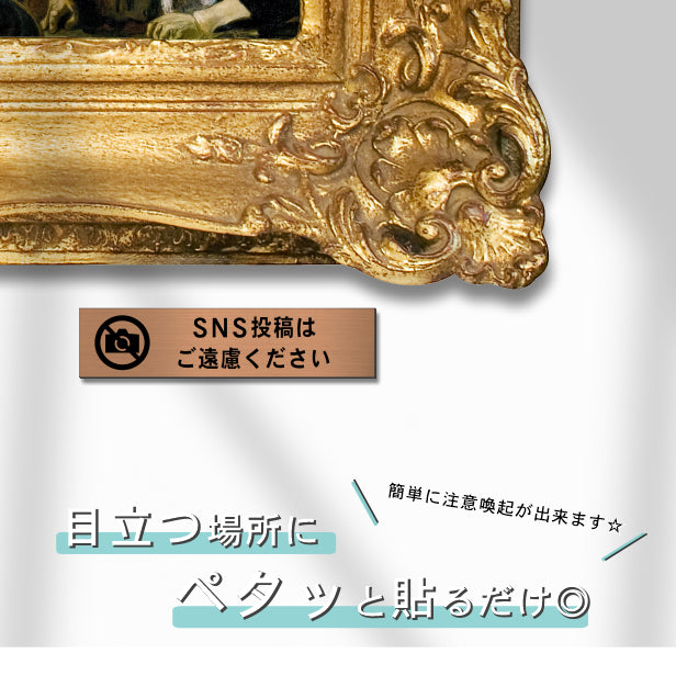 SNS投稿はご遠慮ください サインプレート 銅板風 ブロンズ 横書き Twitter X Instagram Facebook TikTok Snapchat ツイッター エックス インスタ 水濡れOK 屋外対応 日本製 シール式 (配送2)