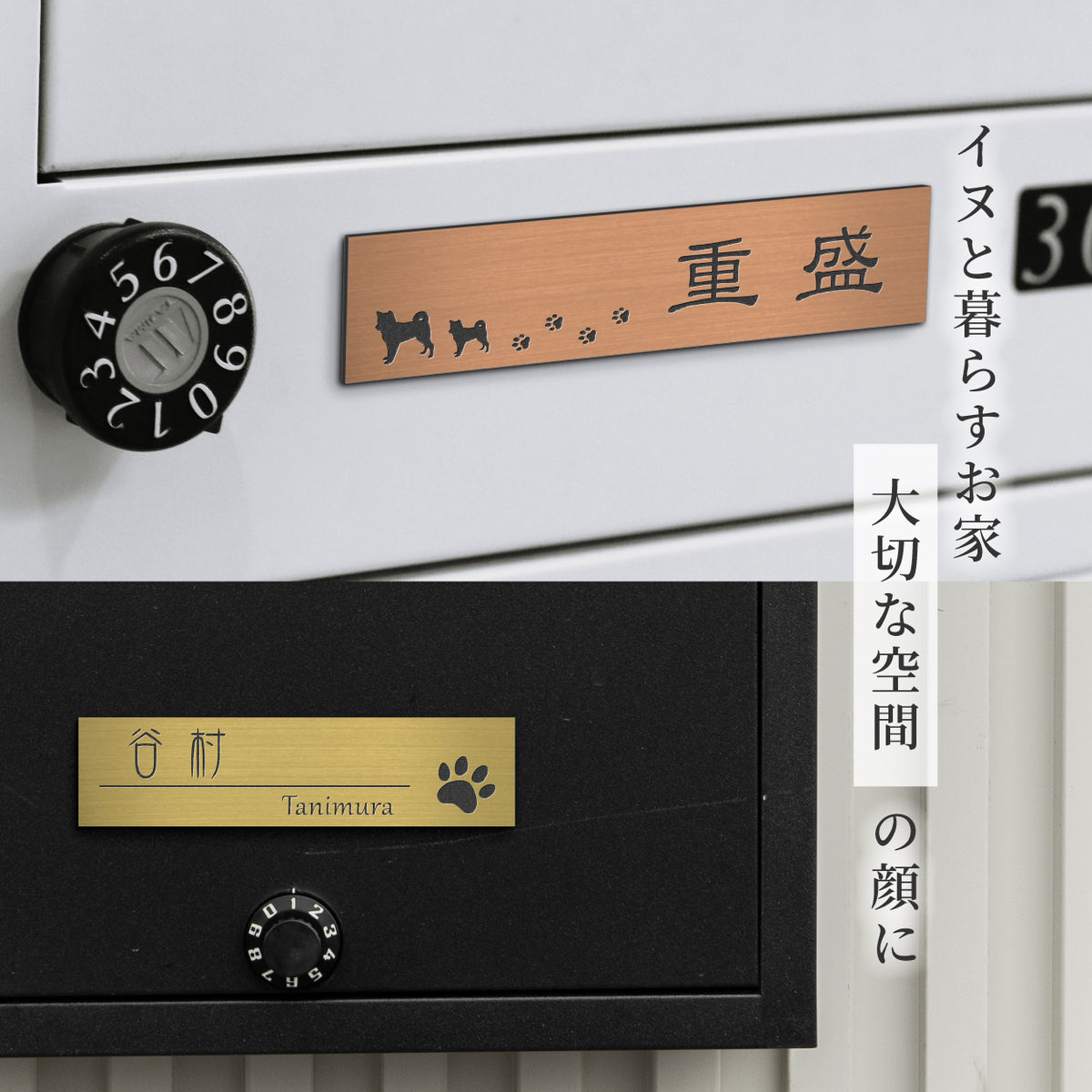 表札 犬 プレート マグネット【選べる犬種】S-L 4色 トイプードル チワワ ダックス 柴犬 ポメ シュナ ヨーク シーズー フレンチブル コーギー パグ ゴールデン マルチーズ いぬ ステンレス調 木目 日本製 旧字 アクリル 屋外 ポスト 番地 シール式 (配送2)