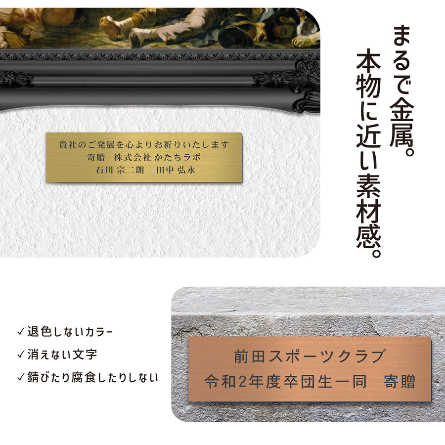 寄贈プレート S-LL 名入れ無料 金属調 シルバー ステンレス調 ゴールド 真鍮風 ブロンズ 銅板風 表題 題名 ネームプレート 卒業 卒園 オーダー 文字 メッセージ 彫刻 刻印 タイトル 贈与 寄付 進呈 贈呈 献呈 寄進 お祝い プレゼント 記念 周年 授与 シール式(配送5)