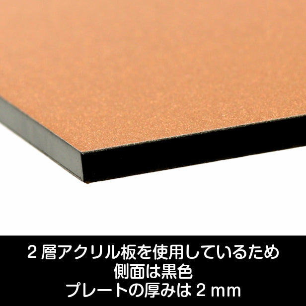 二世帯表札 ステンレス調 180×180 LL 銅板風 ブロンズ マンション ポスト 戸建 表札 二世帯 同居 二世帯住宅 二世帯同居 プレート ネームプレート シンプルでおしゃれ 銅 看板 門柱や外壁にも最適 アクリル製 レーザー彫刻 正方形 屋外対応 シール式 (配送2)