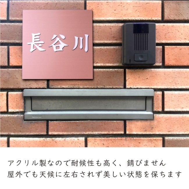 切文字 表札 7cm 漢字 ひらがな カタカナ (楷書体) シルバー