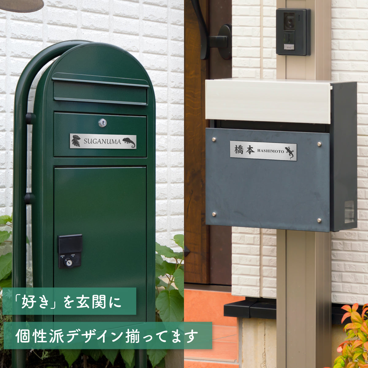 表札 爬虫類・両生類 ネームプレート ステンレス調 オーダーメイド マグネット 3色 3サイズ 名入れ刻印無料 カエル ヘビ トカゲ ヤモリ イグアナ 亀 カメレオン イグアナ ウーパールーパー ペット 戸建 マンションの表札として門柱やポストに アクリル 貼るだけ シール式 屋外  (配送2)