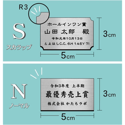 優勝・記念品プレート ステンレス調 シルバー 50×30mm 大会 コンテスト イベント ホールインワン賞 社員表彰 様々な記念品に貼れる おしゃれ トロフィー 記念写真 楯などにオススメ 文字は消えない彫刻 錆びずにいつまでもキレイなアクリル製 シール式 銀 (配送2)