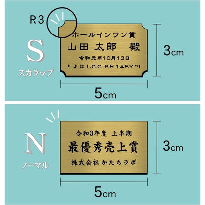 優勝・記念品プレート 真鍮風 ゴールド 50×30mm 大会 コンテスト イベント ホールインワン賞 社員表彰 様々な記念品に貼れる おしゃれ トロフィー 記念写真 楯などにオススメ 文字は消えない彫刻 錆びずにいつまでもキレイなアクリル製 シール式 金 (配送2)