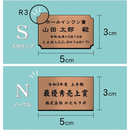 優勝・記念品プレート 銅板風 ブロンズ 50×30mm 大会 コンテスト イベント ホールインワン賞 社員表彰 様々な記念品に貼れる おしゃれ トロフィー 記念写真 楯などにオススメ 文字は消えない彫刻 錆びずにいつまでもキレイなアクリル製 シール式 銅 (配送2)