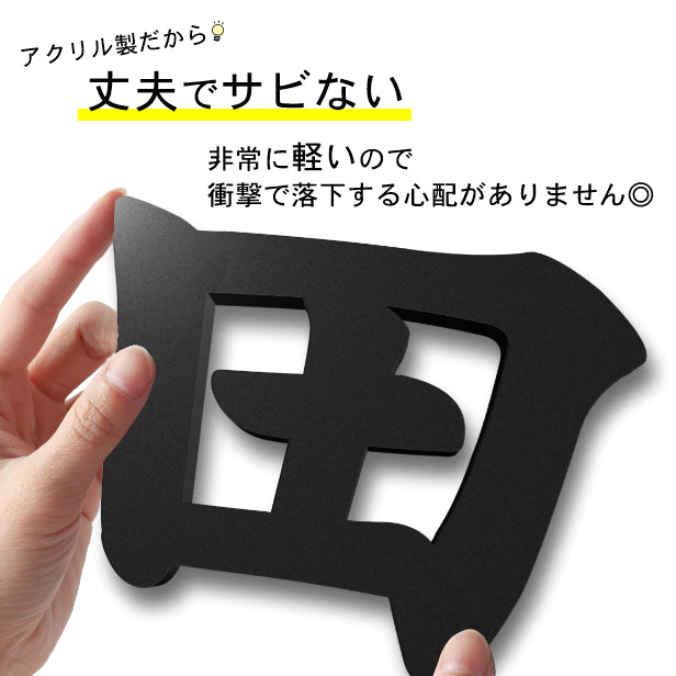 切り文字 表札 看板 30cm 漢字 ひらがな カタカナ アルファベット 記号