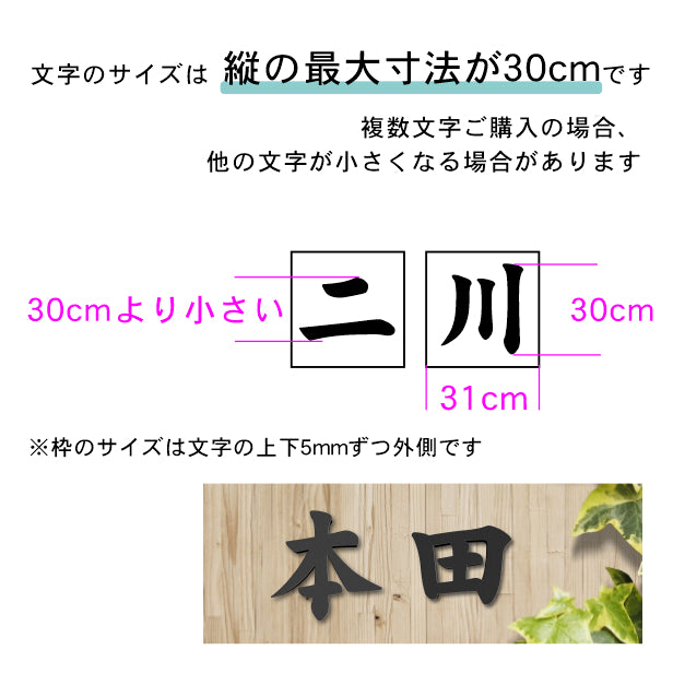 切り文字 表札 看板 30cm 漢字 ひらがな カタカナ アルファベット 記号