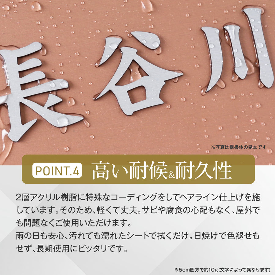 切り文字 表札 看板 5cm~10cm 漢字 ひらがな カタカナ アルファベット 数字 番地 記号 小さめ (ゴシック) 金属調 シルバー ゴールド ブロンズ 切文字 抜き文字 アイアン風 おしゃれ 軽い 屋外対応 シール式  (配送6)
