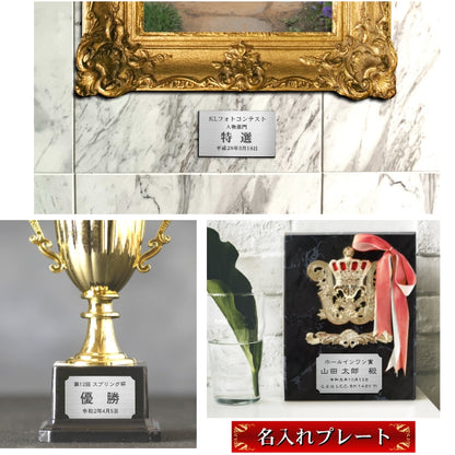 優勝・記念品プレート ステンレス調 シルバー 50×30mm 大会 コンテスト イベント ホールインワン賞 社員表彰 様々な記念品に貼れる おしゃれ トロフィー 記念写真 楯などにオススメ 文字は消えない彫刻 錆びずにいつまでもキレイなアクリル製 シール式 銀 (配送2)