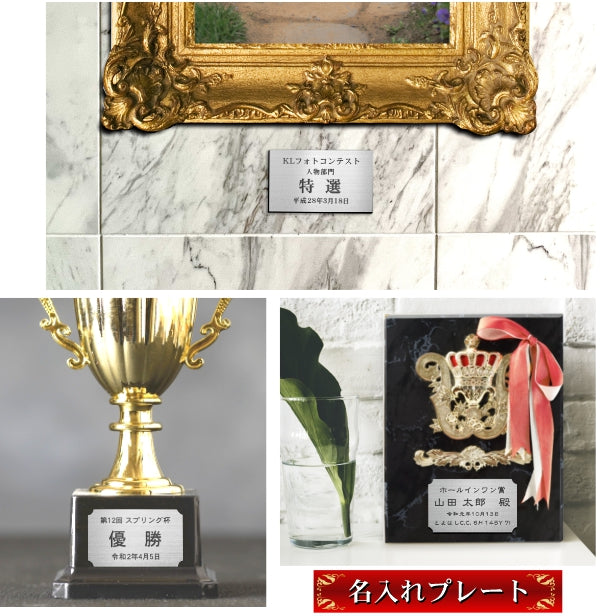優勝・記念品プレート ステンレス調 シルバー 50×30mm 大会 コンテスト イベント ホールインワン賞 社員表彰 様々な記念品に貼れる おしゃれ トロフィー 記念写真 楯などにオススメ 文字は消えない彫刻 錆びずにいつまでもキレイなアクリル製 シール式 銀 (配送2)