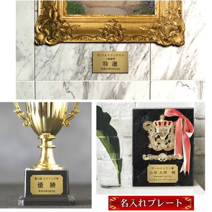 優勝・記念品プレート 真鍮風 ゴールド 50×30mm 大会 コンテスト イベント ホールインワン賞 社員表彰 様々な記念品に貼れる おしゃれ トロフィー 記念写真 楯などにオススメ 文字は消えない彫刻 錆びずにいつまでもキレイなアクリル製 シール式 金 (配送2)