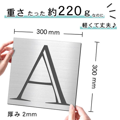 アートパネル art panel 【E】モダン おしゃれ 壁掛け イニシャル アルファベット アートボード 金属風 art board インテリア ステンレス調 シルバー 銀 軽くて丈夫なアクリル製 正方形 四角 ピンフック対応 wall hanging 簡単取付 日本製 宅配便(配送4)