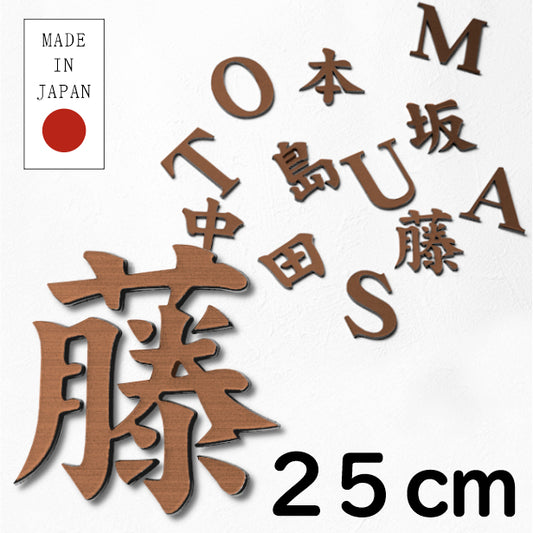 切文字 表札 25cm 漢字 ひらがな カタカナ (楷書体) ブロンズ 銅板風 切り文字 取付 ガイド 枠付き 名入れ 文字 1文字から買える おしゃれ オーダー 会社 オフィス 店舗 看板 ドアプレート シール式 銅 アクリル製 屋外対応 新築祝 結婚祝 宅配便(配送4)