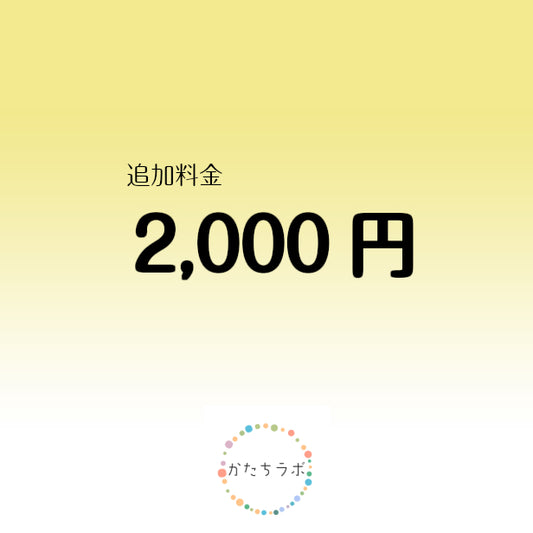 追加料金 2000円