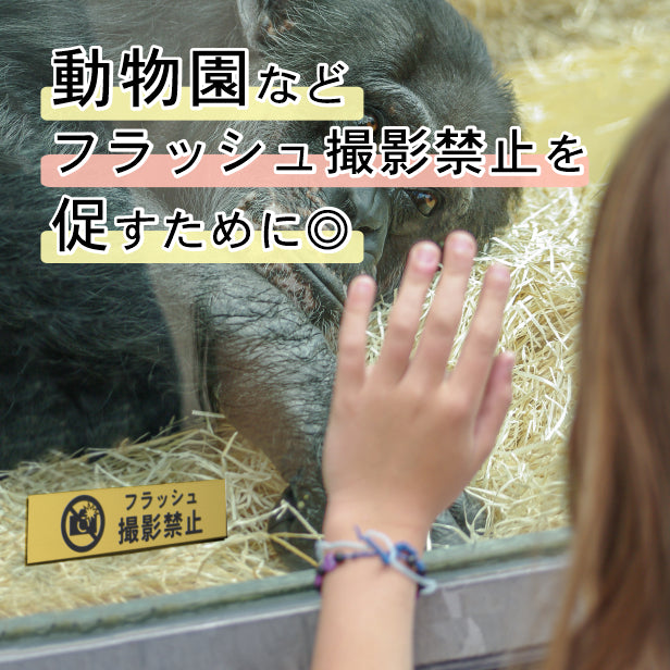 サインプレート (フラッシュ撮影禁止) ゴールド 真鍮風 ステッカー プレート おしゃれ 注意 禁止事項 案内 表示板 標識 注意書き 動物園 映画館 美術館 展覧会 博覧会 病院 標識 表示板 表示サイン 工場 屋外OK シール式 金 アクリル製 日本製 (配送2)