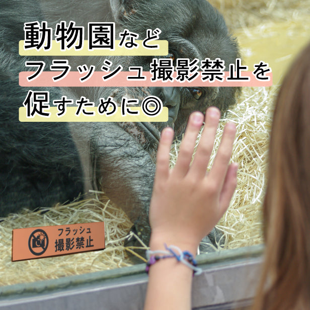 サインプレート (フラッシュ撮影禁止) ブロンズ 銅板風 ステッカー プレート おしゃれ 注意 禁止事項 案内 表示板 標識 注意書き 動物園 映画館 美術館 展覧会 博覧会 病院 標識 表示板 表示サイン 工場 屋外OK シール式 銅 アクリル製 日本製 (配送2)